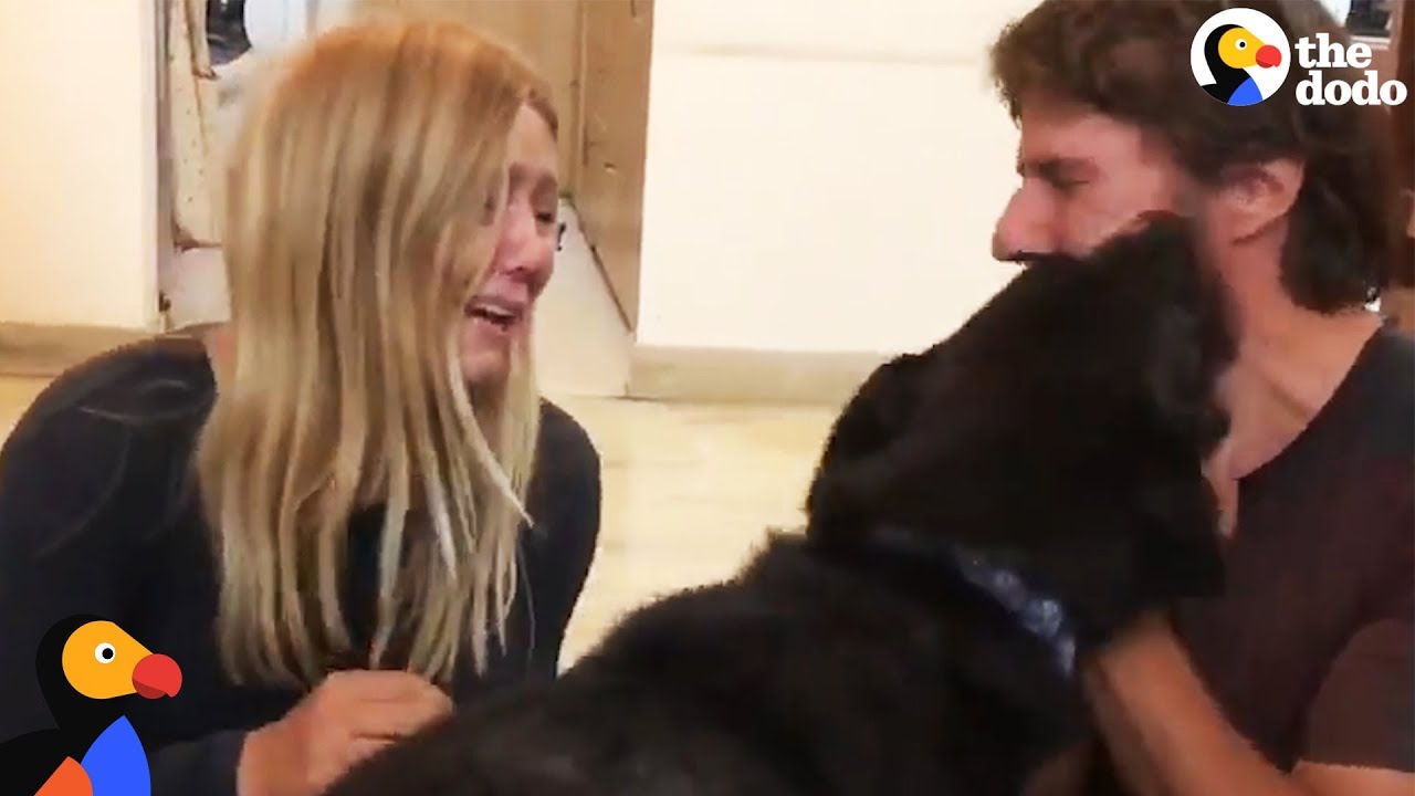 Stolen Puppy Dog Reunited With Couple in India