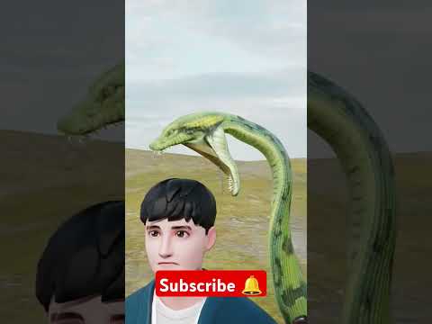What if anaconda swallow you (3D animation)