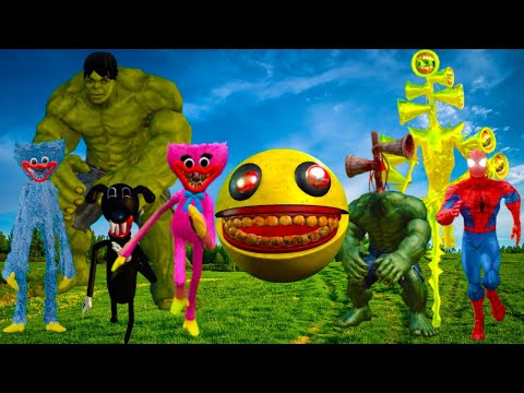 Spiders,Siren Head, Cartoon Cat Pacman, Lonf Leg  home real time #ОРИ