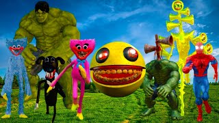 Spiders,Siren Head, Cartoon Cat Pacman, Lonf Leg  home real time #ОРИ