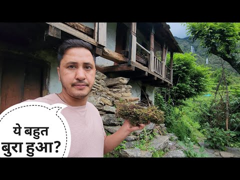 पुराने घर में किसी ने पक्षी के बच्चों को मार दिया || Pahadi Lifestyle Vlog || Cool Pahadi