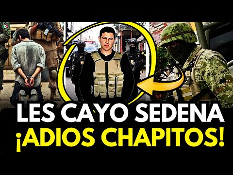 ¡CAE UNO DE LOS CHAPITOS! HARFUCH Decomisa Helicóptero, Autos y ARMAS en SINALOA