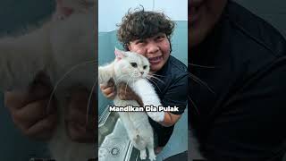 Grooming Luzayn Cradleton Eco Majestic 1
