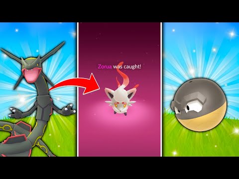 HOW TO GET HISUI ZORUA IN POKEMON GO! New Buddy Disguise / New Shiny BOOSTED Pokemon!