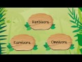 Animal Classification Based on Diet