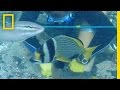 Shipwreck Excavation and Analysis
