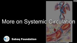 More on Systemic Circulation