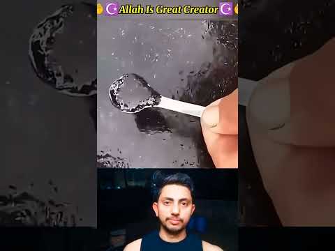 oh bhai ye🤯 kya hai 🤯😱 #fish #allahsplan #trending #cute #popular #viralshorts