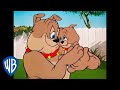 Video Tutorial Quiz