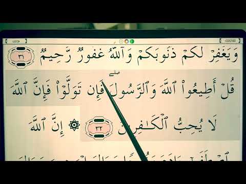 Quran for Beginners Lesson 137 - Surah Ali 'Imran (ayah 32)