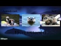 Estuary Biomes and Tours