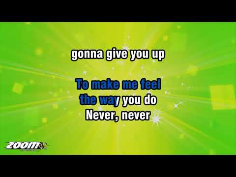 Barry White – Never Never Gonna Give You Up – Karaoke Version from Zoom Karaoke