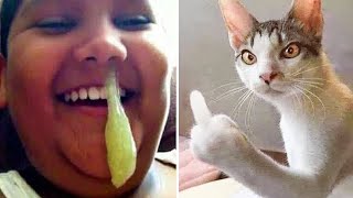 These pets will put you in a good mood 100% guarantee