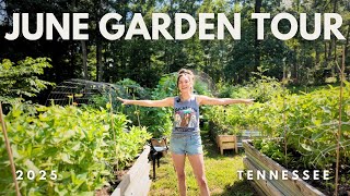 It's so much better than I EVER imagined! - JUNE Garden Tour