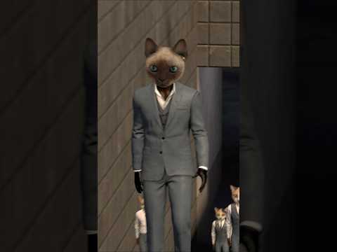 Bow Wow Dog 16