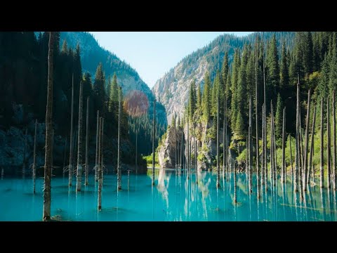 Қайыңды көлі бойынша 360° видеотур