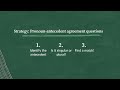 Pronoun Antecedent Agreement Strategies