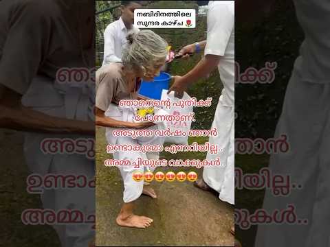 നബിദിനത്തിലെ സുന്ദര കാഴ്ച്ച 💕💕