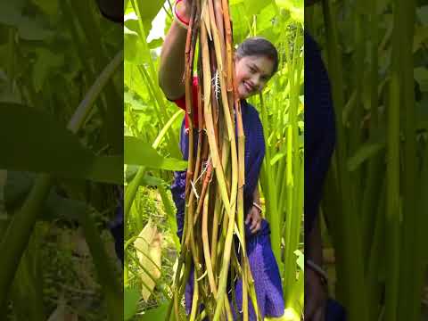 Bengali village style Kochur Lotir jhal 🤤#food #cooking #recipe #kanika_rannaghor_with_village_food