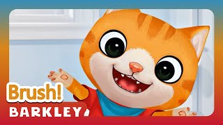 Brush, Brush, Brush!｜Barkley – Nursery Rhymes & Kids Songs