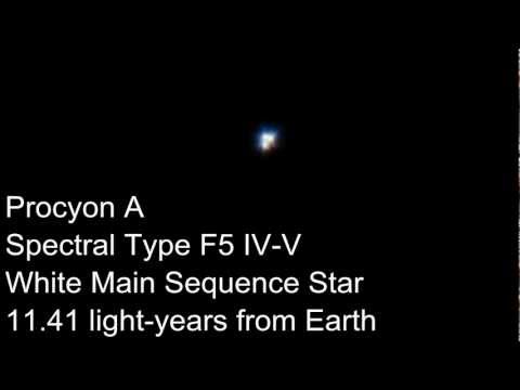 Procyon
