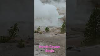Norris Geyser Basin-Wyoming #Yellowstone #Wyoming #summervacation2025 #cassandralongband