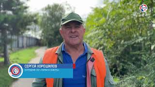 Городские службы ухаживают за зелеными насаждениями города (Дежурный по городу. 15 октября 2024)