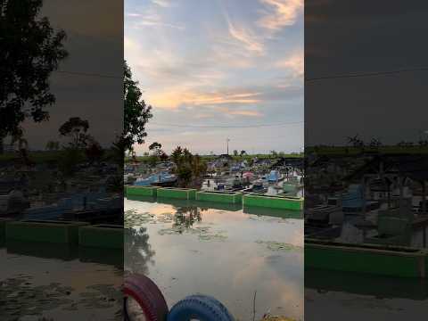 KUBURAN KAKEK RAKA TERENDAM BANJIR😱😱#minivlog #anakdesa #hiburan #shortvideo #vlog