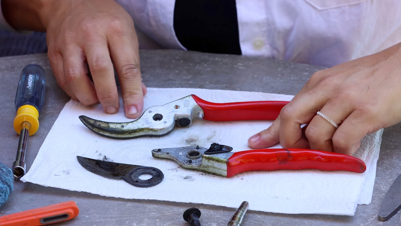 How to Clean & Sharpen Your Pruners!