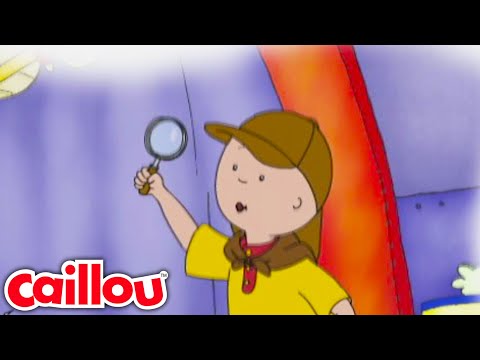 Caillou De Grote Detective | Caillou Nederlands - WildBrain | Leren voor kinderen