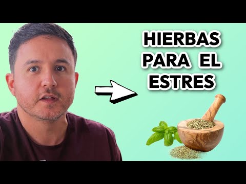 Plantas y Hierbas Adaptogenas para el Estres