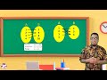 Understanding Relations and Functions