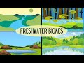 Exploring Freshwater Ecosystems: Lakes, Rivers, and Wetlands