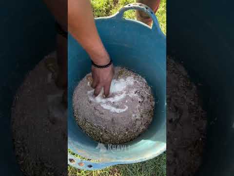 بصحة وعافية حصاني 😍🤩
