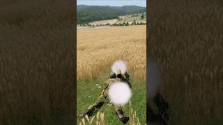 simulation from launch to target, Metz #simulation #dcs #military ##army #arma #war #shorts