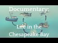 Chesapeake Bay Ecosystem Challenges