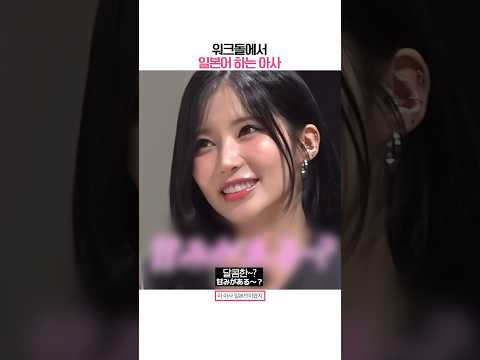 [베이비몬스터] 워크돌에서 일본어 하는 아사
