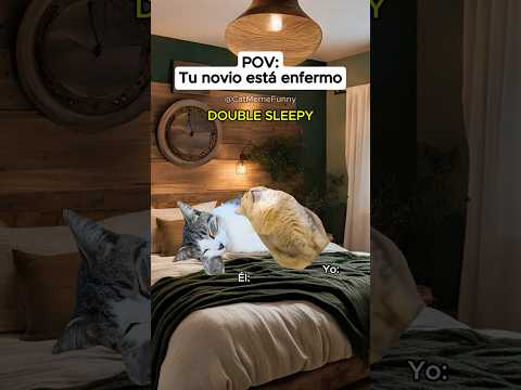 CAT MEME FUNNY 😹 Tu novio está enfermo #relationship #relatable  #cat