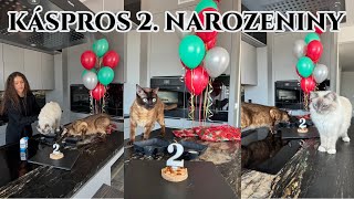 VLOG | Kásprosova oslava 2. narozenin