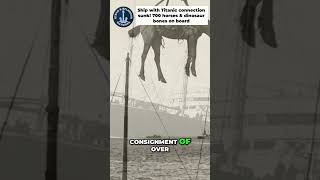 Ship w/Titanic connection sunk! 700 horses & dinosaur bones on board.  #titanic #maritimehistory