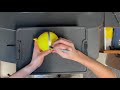 Gas Laws and Balloon Experiments
