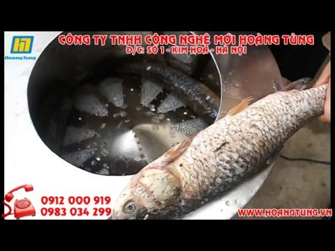 Máy Đánh Vảy Cá QYL-18