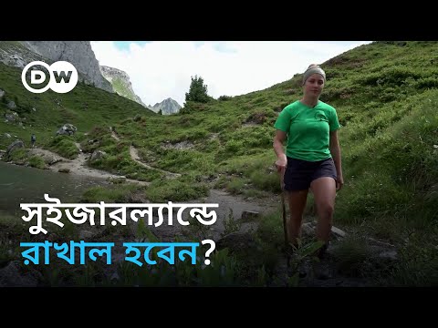 রাখালের অভাব সুইজারল্যান্ডে, ঘাটতি মেটাচ্ছে অভিবাসী কর্মীরা