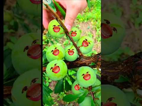 Alifun baa Taun Saa | Naat | Islamic video|| #islamicshorts #shorts#islamicsong #trending