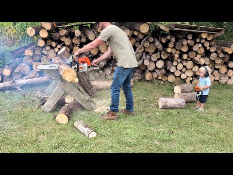 Our chainsaw collection | Testing each of them!
