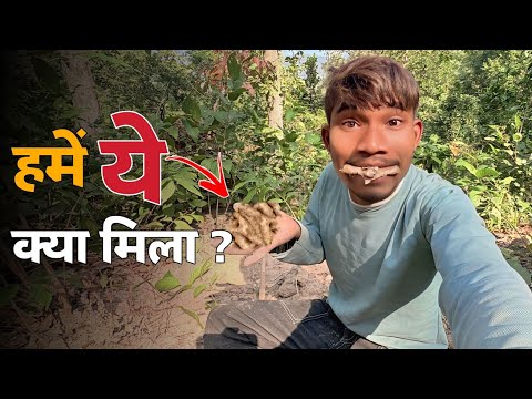 आखिर हमें जंगल में ये क्या मिला ? | What Did We Find in The Forest ? | Rathiya The Vlogger