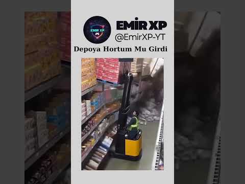 Shocking Domino Collapse! 😱 How Can a Warehouse Fail This Quickly?