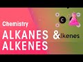 Understanding Alkanes and Alkenes