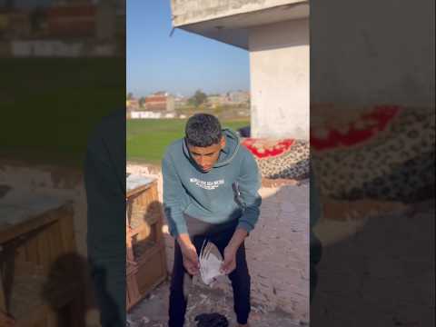 عضعض أكل الحمام #محمد_الكويتي