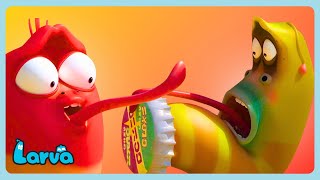 LARVA - TICKLE FIGHT! 😆 | Funny Cartoons for Kids | WildBrain Bananas